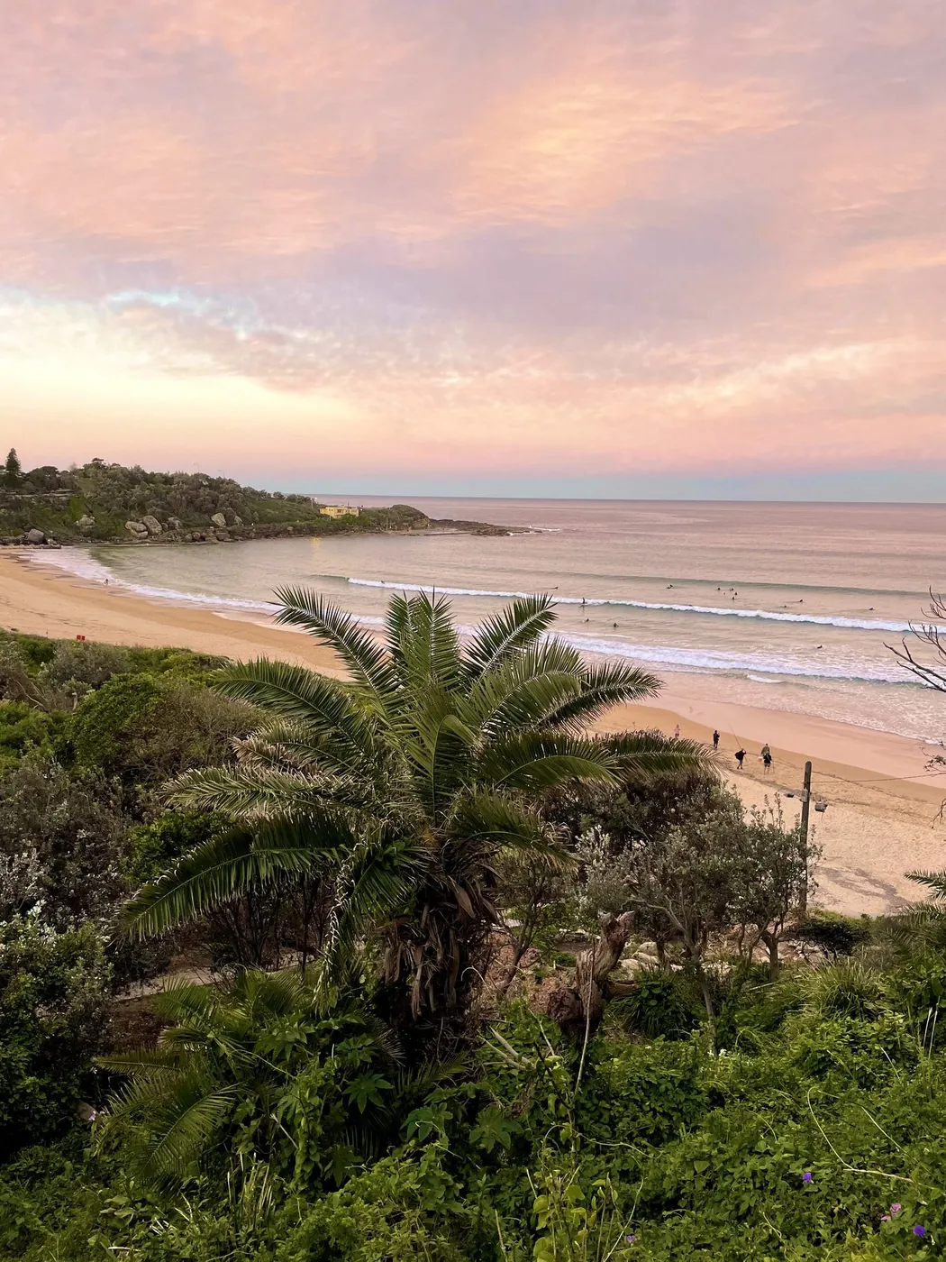 A Sydney beach at sunset